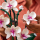LEGO Icons 10311 Orchidea - 1040189 - zdjęcie 5